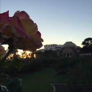 Meet your Posher, Dora